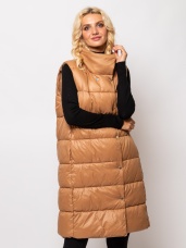 CEDAR